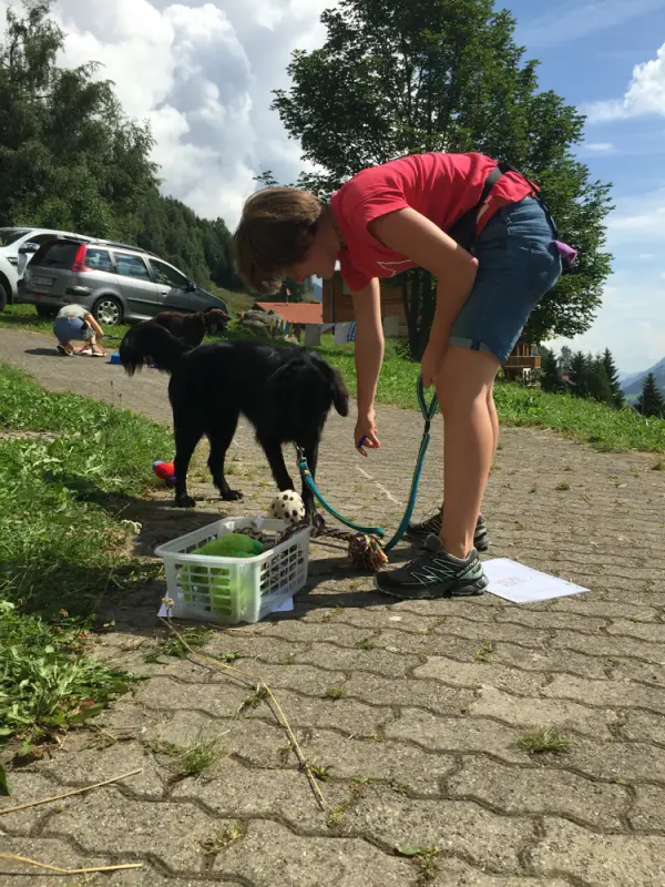 Eine Frau füttert einen Hund an der Leine. – Jugend und Hund Lager 2016 in Segnas