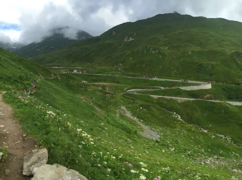 Eine Bergstrasse mit ein paar Blumen darauf. – Jugend und Hund Lager 2016 in Segnas