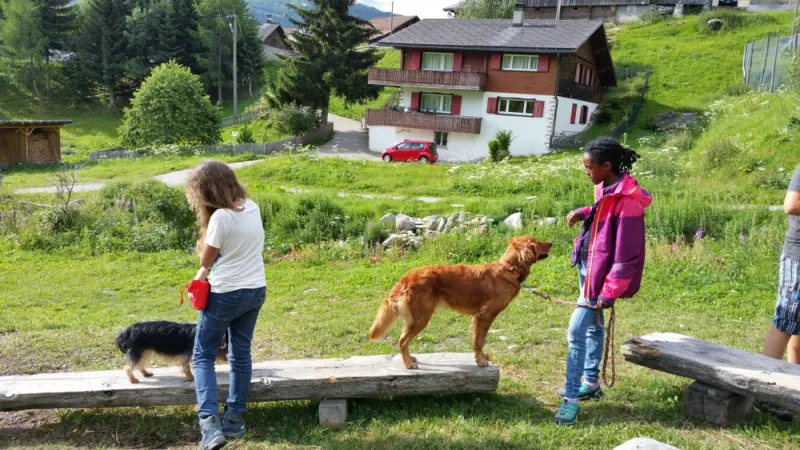 Eine Gruppe von Menschen, die mit einem Hund auf einer hölzernen Plattform stehen. – Jugend und Hund Lager 2016 in Segnas