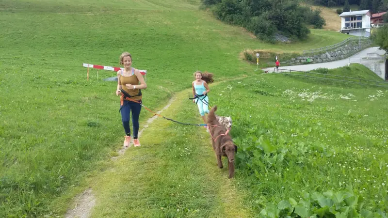 Eine Frau, die einen Hund auf einem Weg geht. – Jugend und Hund Lager 2016 in Segnas