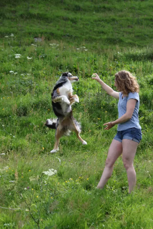 Eine Frau, die mit einem Hund auf einem Feld spielt. – Jugend und Hund Lager 2016 in Segnas