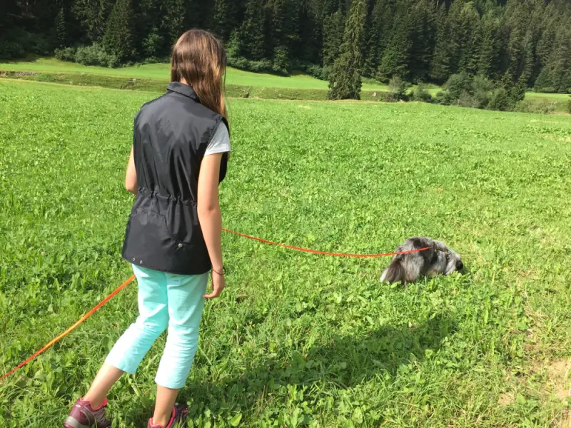 Ein Mädchen, das einen Hund an der Leine läuft. – Jugend und Hund Lager 2016 in Segnas