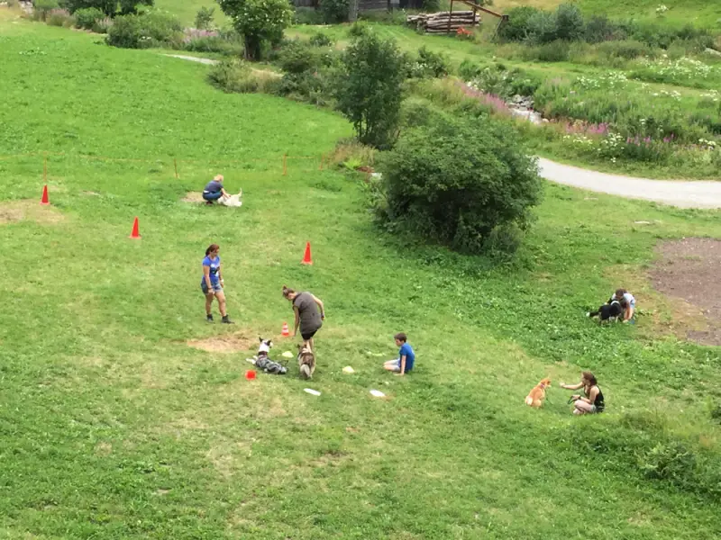 Eine Gruppe von Leuten, die in einem Feld frcg spielen. – Jugend und Hund Lager 2016 in Segnas