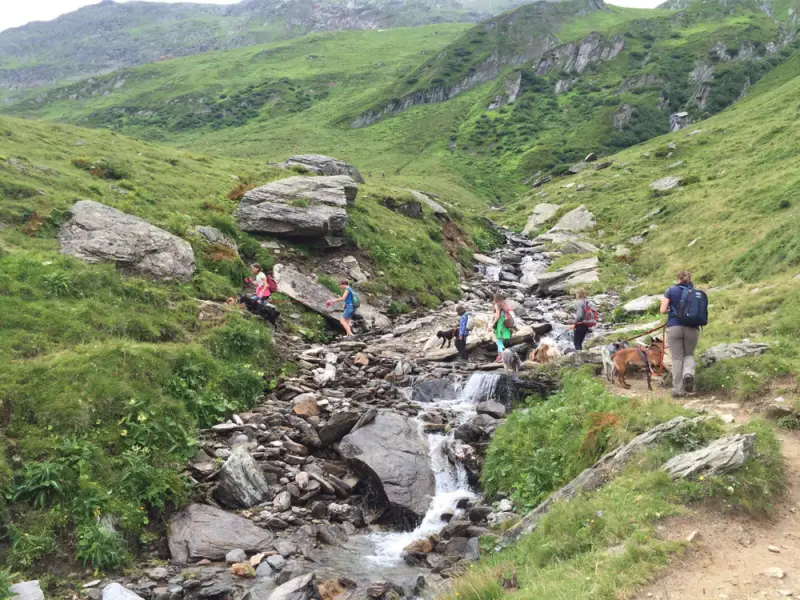 Eine Gruppe von Menschen, die einen Bach hinuntergehen. – Jugend und Hund Lager 2016 in Segnas