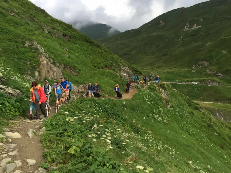 Eine Gruppe von Menschen, die einen Berg hinaufgehen. – Jugend und Hund Lager 2016 in Segnas