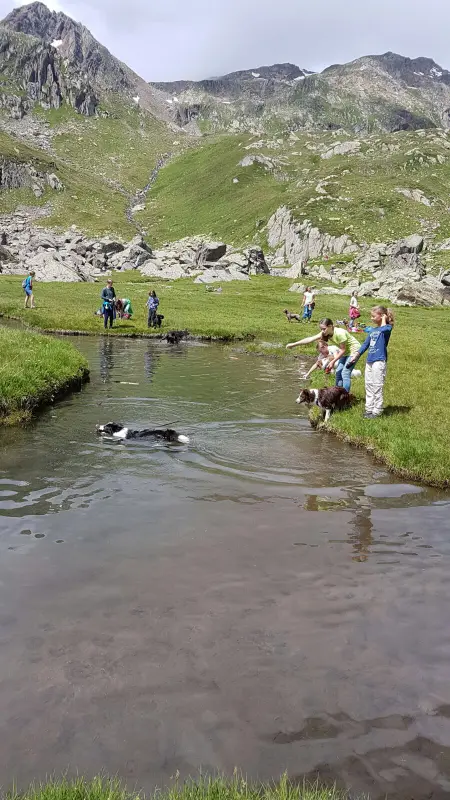 Eine Gruppe von Menschen, die in einem Strom stehen. – Jugend und Hund Lager 2016 in Segnas