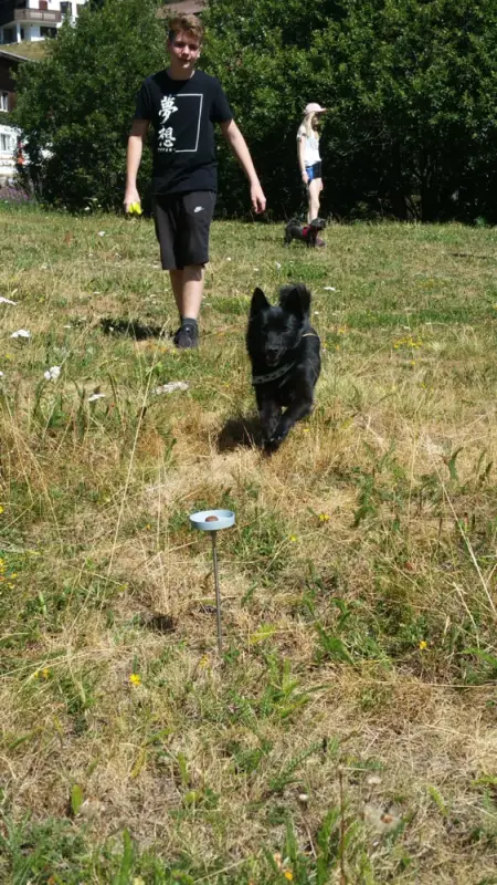 Eine Frau, die einen Hund durch ein Feld geht. – Jugend und Hund Lager 2018 in Segnas