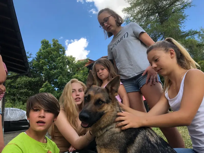 Eine Gruppe von Menschen und ein Hund ein Hund. – Jugend und Hund Lager 2018 in Segnas