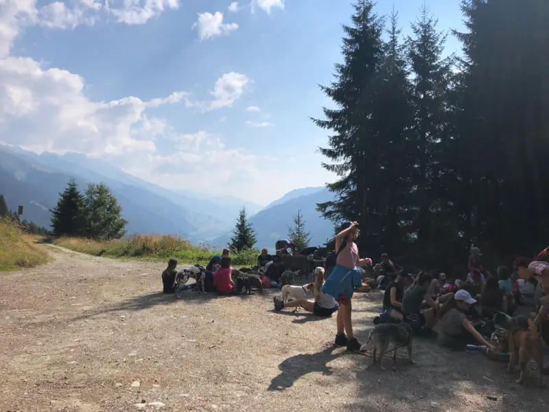 Eine Gruppe von Menschen, die auf einem Hügel sitzen. – Jugend und Hund Lager 2018 in Segnas