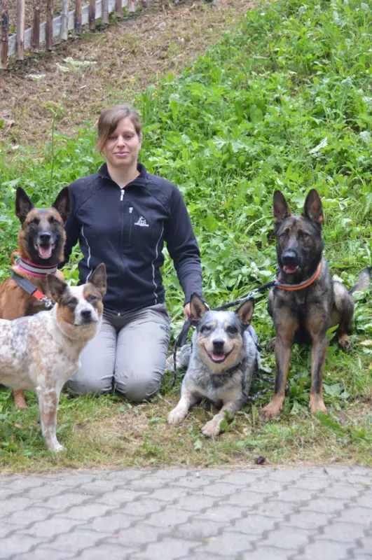 Eine Frau, die mit vier Hunden auf dem Boden sitzt. – Jugend und Hund Lager 2018 in Segnas