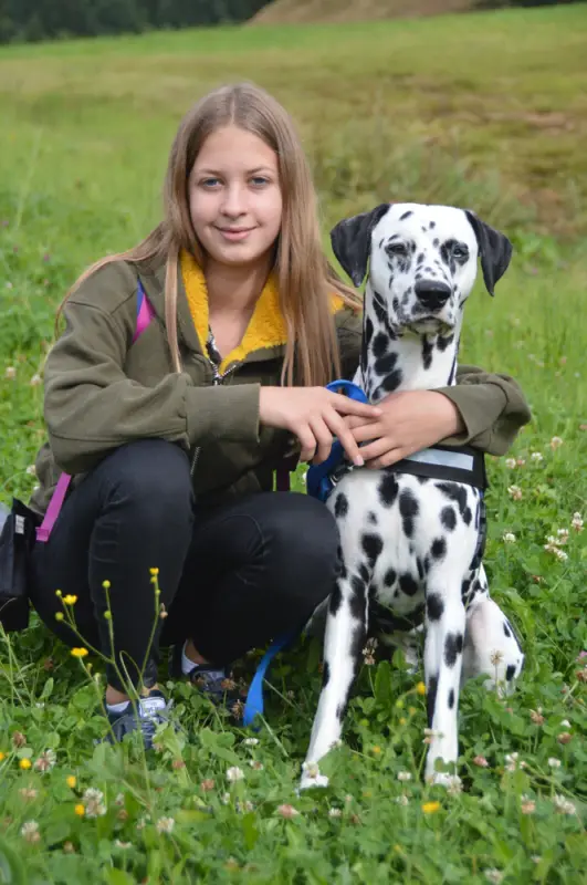 Ein Mädchen kniet in einem Feld mit einem Dal Hund. – Jugend und Hund Lager 2018 in Segnas