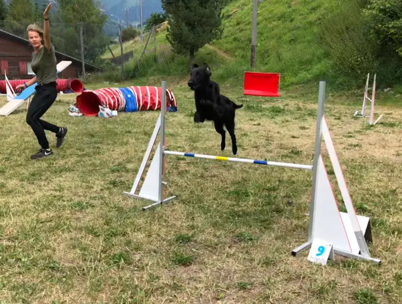 Ein Mann und ein Hund spielen mit einem Spielzeug. – Jugend und Hund Lager 2018 in Segnas