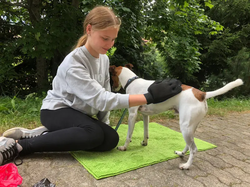 Eine Frau kniet mit einem Hund auf einer grünen Matte nieder. – Jugend und Hund Lager 2018 in Segnas