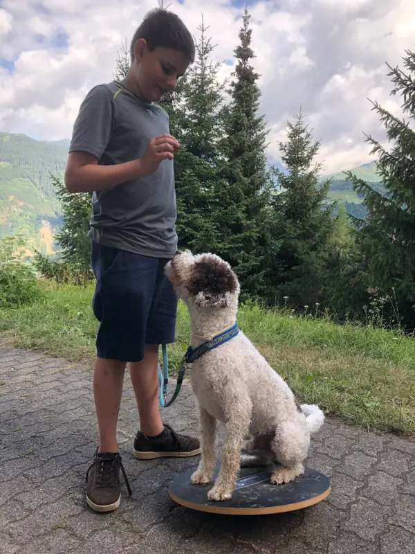 Ein Junge, der mit einem Hund auf einem Skateboard steht. – Jugend und Hund Lager 2018 in Segnas