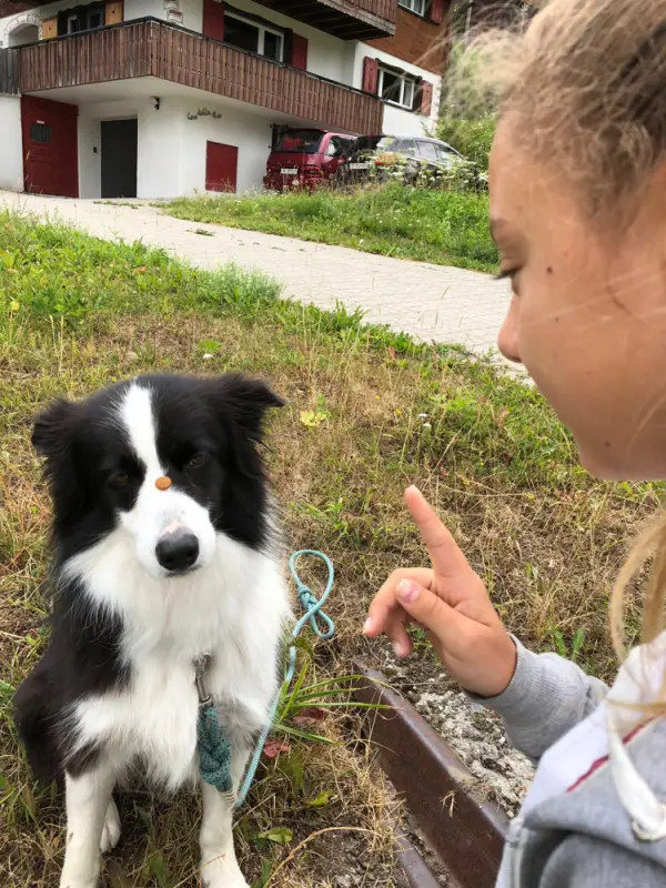 Ein kleines Mädchen streichelt einen Hund im Hof. – Jugend und Hund Lager 2018 in Segnas