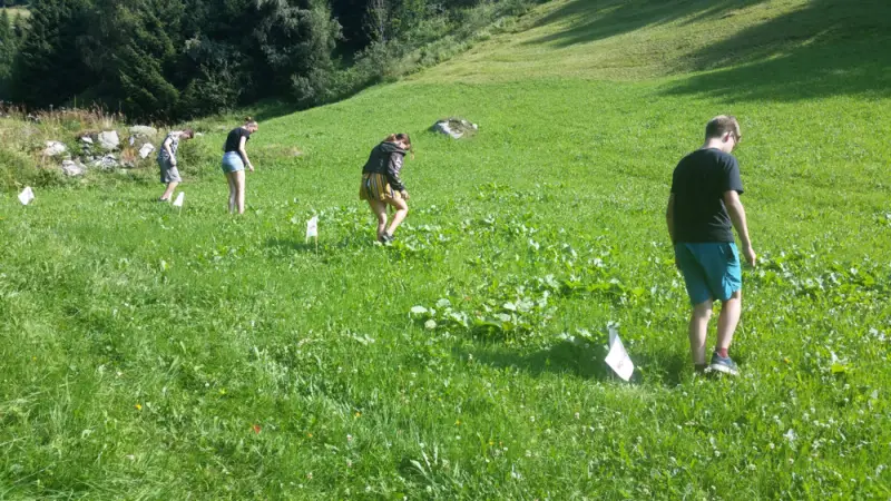 Eine Gruppe von Menschen, die Blumen auf einem Feld pflücken. – Jugend und Hund Lager 2019 in Segnas