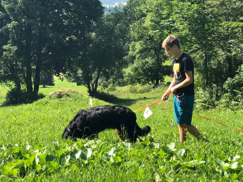 Ein Junge und ein Hund auf einem Feld. – Jugend und Hund Lager 2019 in Segnas