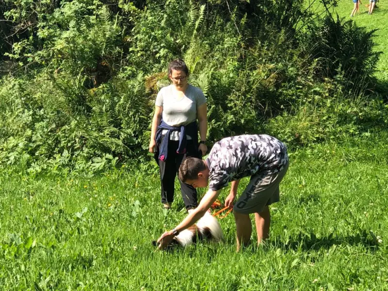 Zwei Leute pflücken Gras auf einem Feld. – Jugend und Hund Lager 2019 in Segnas