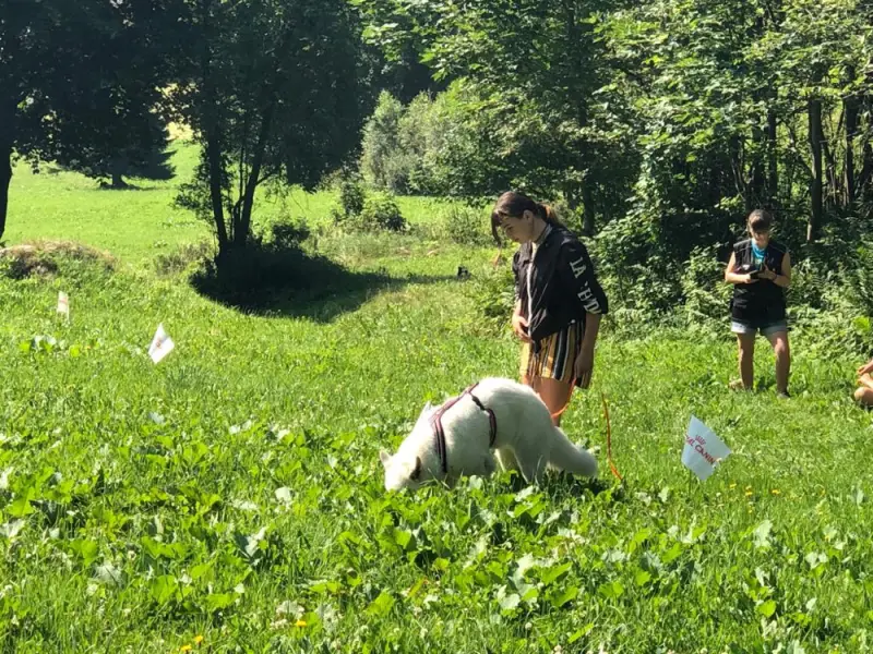 Eine Gruppe von Menschen sind in einem Feld. – Jugend und Hund Lager 2019 in Segnas