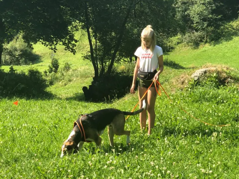 Eine Frau, die einen Hund auf einem Feld läuft. – Jugend und Hund Lager 2019 in Segnas
