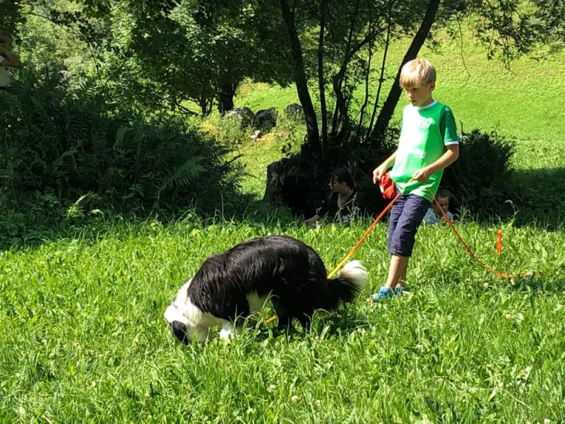 Ein Junge und ein Hund spielen im Gras. – Jugend und Hund Lager 2019 in Segnas