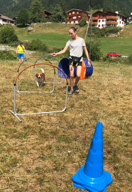 Ein Mann und ein Hund spielen mit einem Spielzeug. – Jugend und Hund Lager 2019 in Segnas