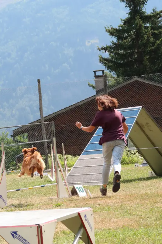 Eine Frau wirft einen Frack auf einen Hund. – Jugend und Hund Lager 2019 in Segnas