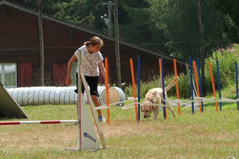 Ein mädchen spielt mit einem hund auf einem feld. – Jugend und Hund Lager 2019 in Segnas
