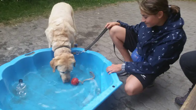 Ein junges Mädchen spielt mit einem Hund in einer blauen Schale. – Jugend und Hund Lager 2019 in Segnas