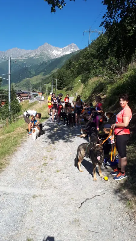 Eine Gruppe von Menschen und Hunden auf einem Weg. – Jugend und Hund Lager 2019 in Segnas