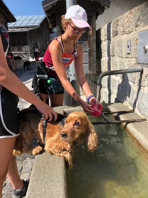 Eine Frau füttert einen Hund in einem Pool. – Jugend und Hund Lager 2019 in Segnas
