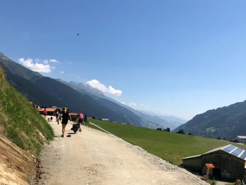 Eine Gruppe von Menschen, die eine unbefestigte Strasse hinuntergehen. – Jugend und Hund Lager 2019 in Segnas