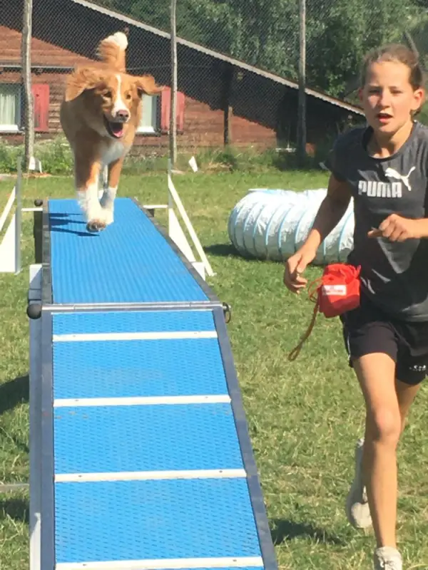 Ein junges Mädchen läuft mit einem Hund auf einer blauen Spur. – Jugend und Hund Lager 2019 in Segnas