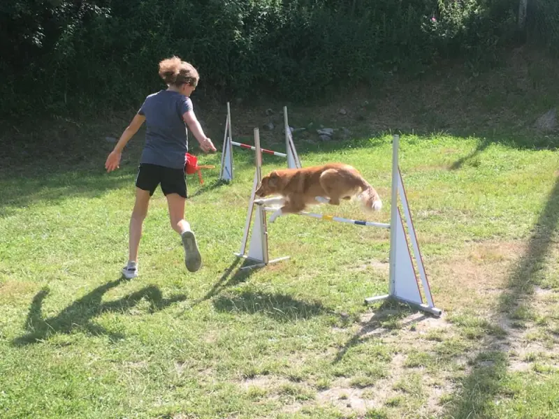 Eine Frau spielt mit ihrem Hund im Hof. – Jugend und Hund Lager 2019 in Segnas