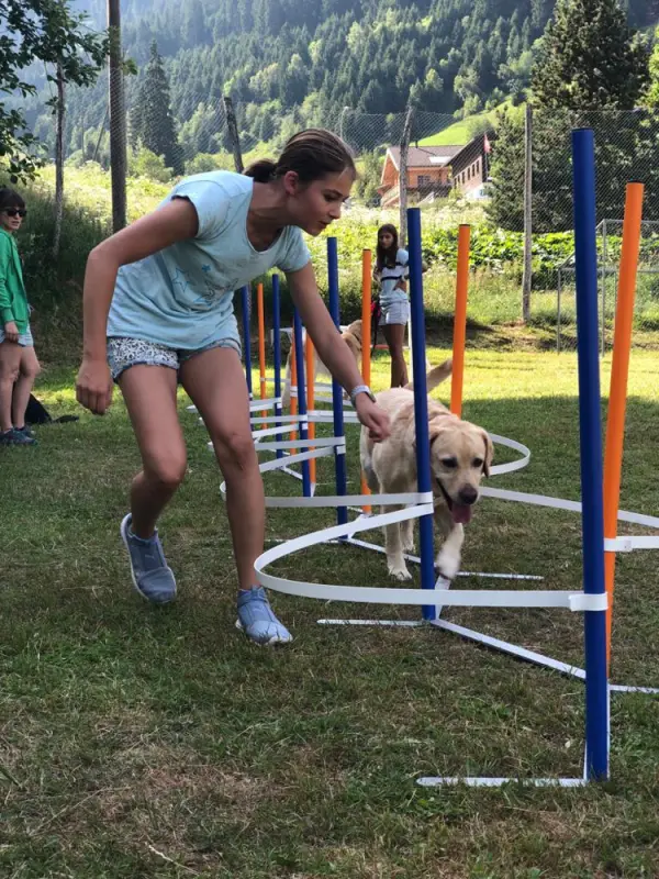 Eine Frau und ihr Hund spielen mit einem hu hu hu hu hu hu hu hu hu hu hu hu hu hu hu. – Jugend und Hund Lager 2019 in Segnas