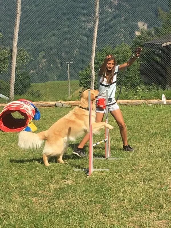 Eine Frau spielt mit einem Hund auf einem Feld. – Jugend und Hund Lager 2019 in Segnas