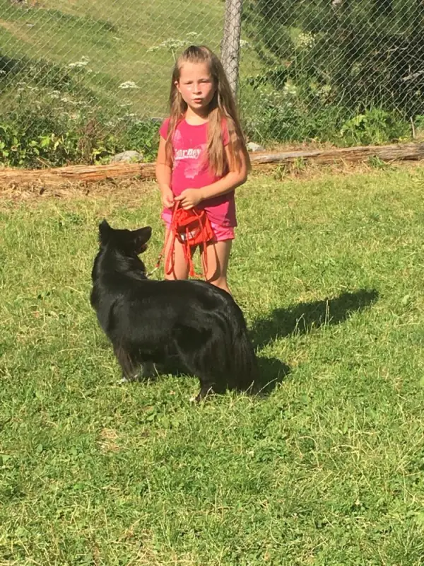 Ein kleines Mädchen, das neben einem schwarzen Bären steht. – Jugend und Hund Lager 2019 in Segnas