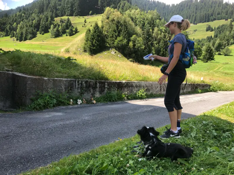 Eine Frau geht mit einem Hund auf einem Pfad. – Jugend und Hund Lager 2019 in Segnas