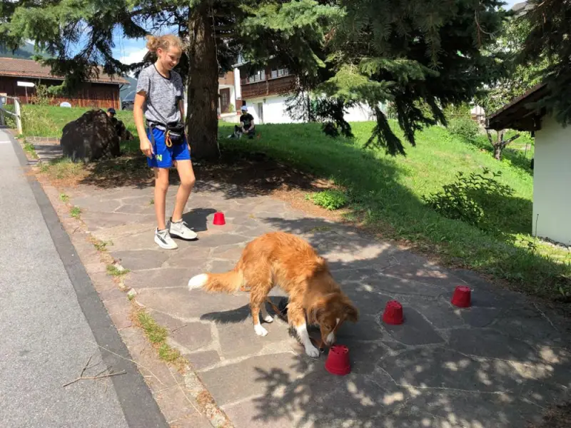 Ein Hund spielt mit einem Ball auf dem Bürgersteig. – Jugend und Hund Lager 2019 in Segnas