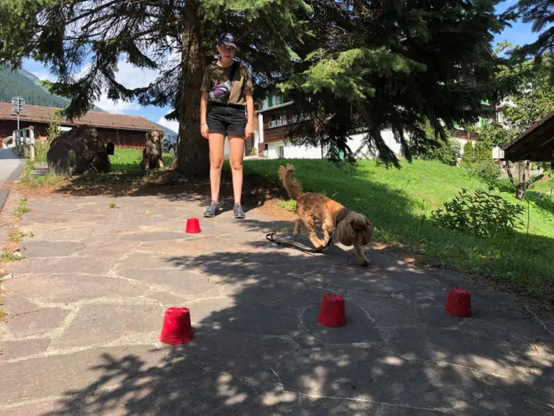 Eine Frau geht ihren Hund auf einem Weg. – Jugend und Hund Lager 2019 in Segnas