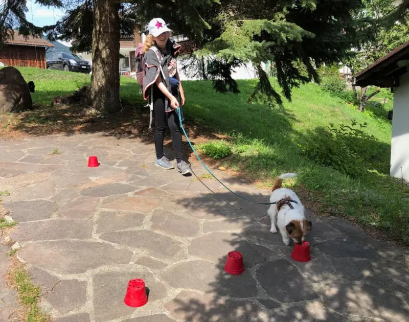 Eine Frau, die einen Hund an der Leine läuft. – Jugend und Hund Lager 2019 in Segnas