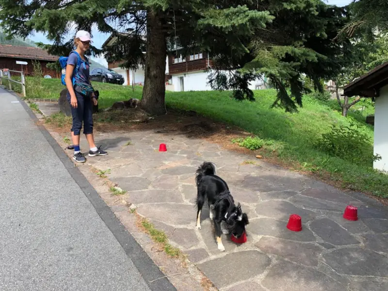 Eine Frau, die ihren Hund die Strasse entlang geht. – Jugend und Hund Lager 2019 in Segnas