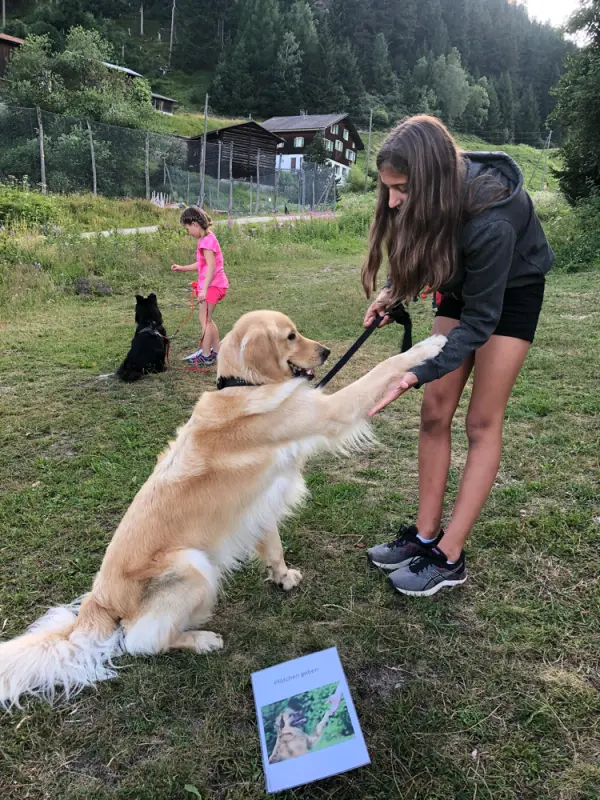 Eine Frau streichelt einen Hund auf einem Feld. – Jugend und Hund Lager 2019 in Segnas