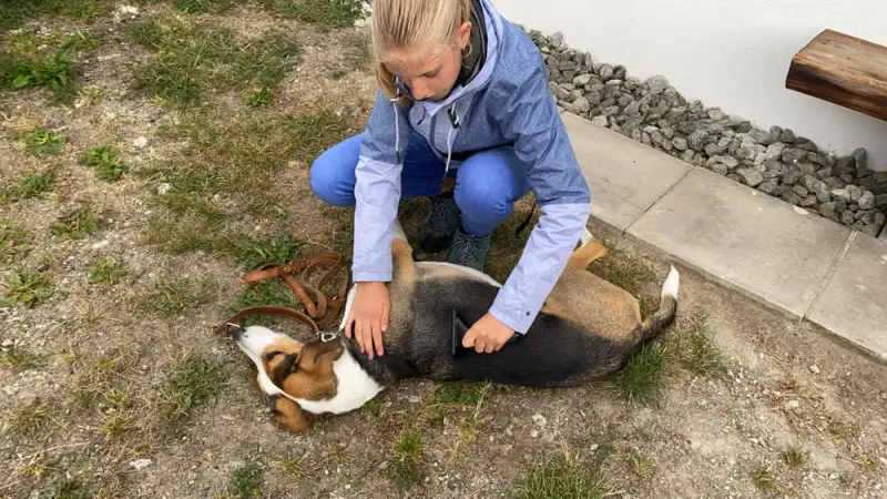 Eine Frau kniet hinunter, um einen Hund zu streicheln. – Jugend und Hund Lager 2020 in Segnas