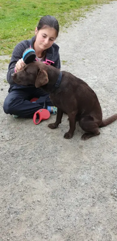 Ein junges Mädchen streichelt einen Welpen. – Jugend und Hund Lager 2020 in Segnas