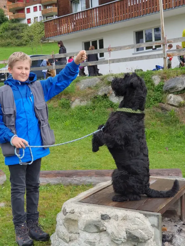 Ein Junge hält einen Hund an der Leine. – Jugend und Hund Lager 2020 in Segnas