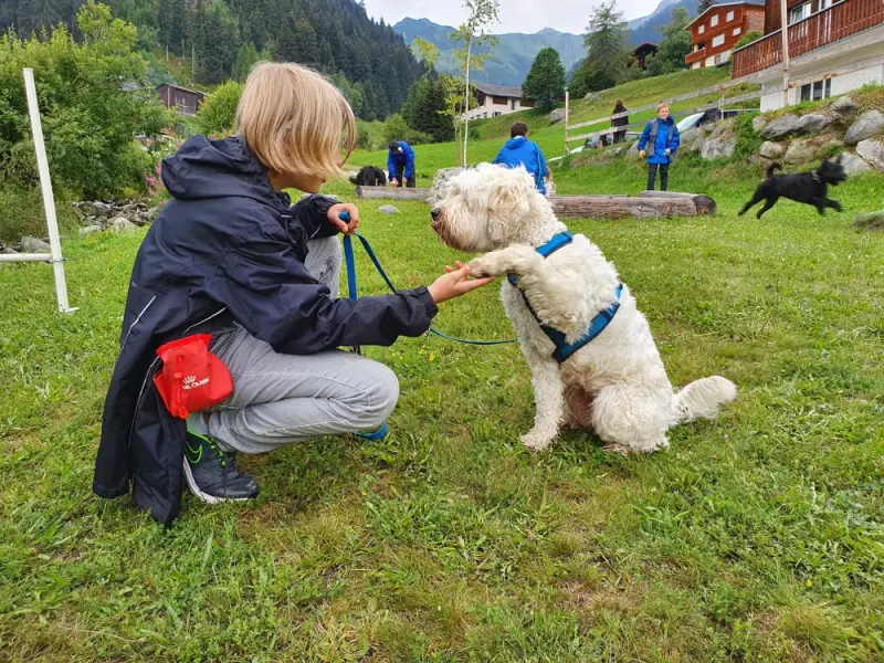 Eine Frau streichelt einen Hund auf einem Feld. – Jugend und Hund Lager 2020 in Segnas