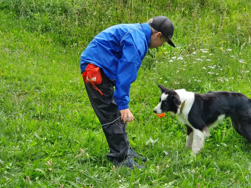 Ein Junge in einer blauen Jacke spielt mit einem Hund. – Jugend und Hund Lager 2020 in Segnas