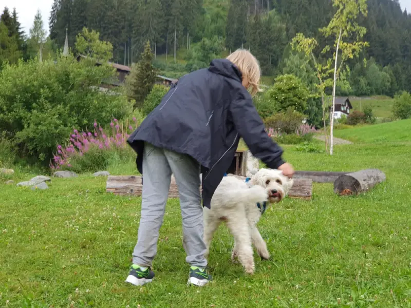 Eine Frau geht mit einem Hund auf einem Feld. – Jugend und Hund Lager 2020 in Segnas
