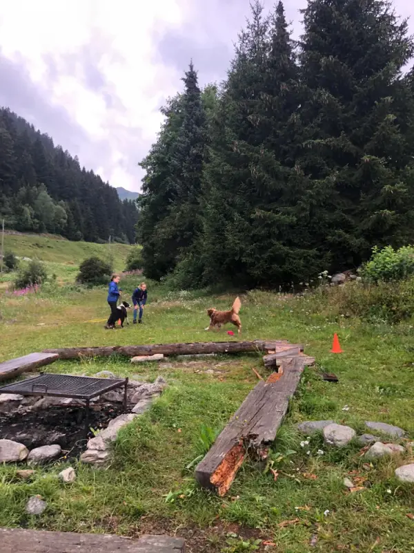 Ein Mann, der in einem Feld neben einer Feuergrube steht. – Jugend und Hund Lager 2020 in Segnas